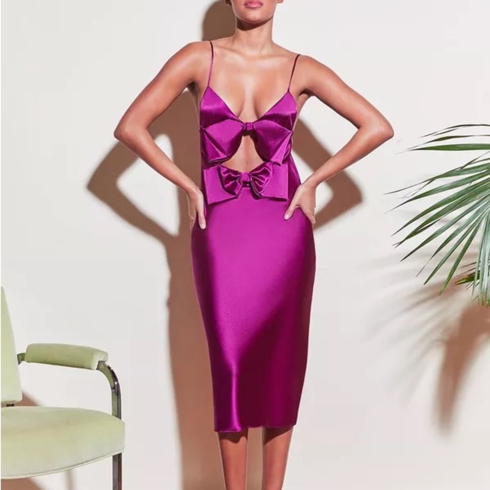Brand new with tags gorgeous fleur du mal dress.